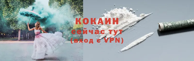 mega сайт  Выкса  Cocaine Fish Scale 