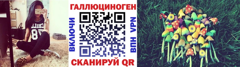 Псилоцибиновые грибы Psilocybe Выкса