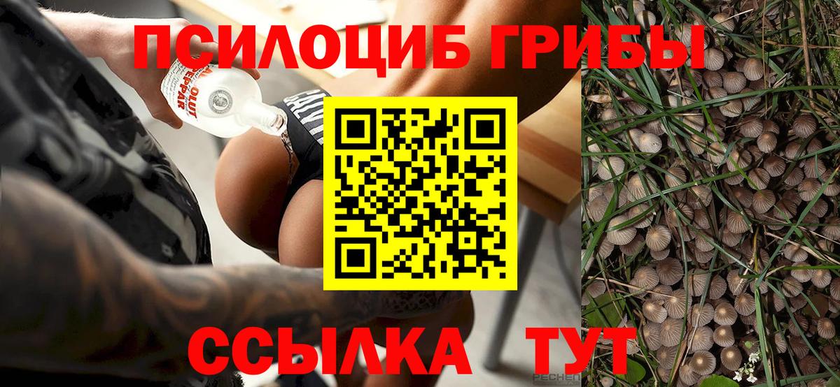 Галлюциногенные грибы MAGIC MUSHROOMS Выкса