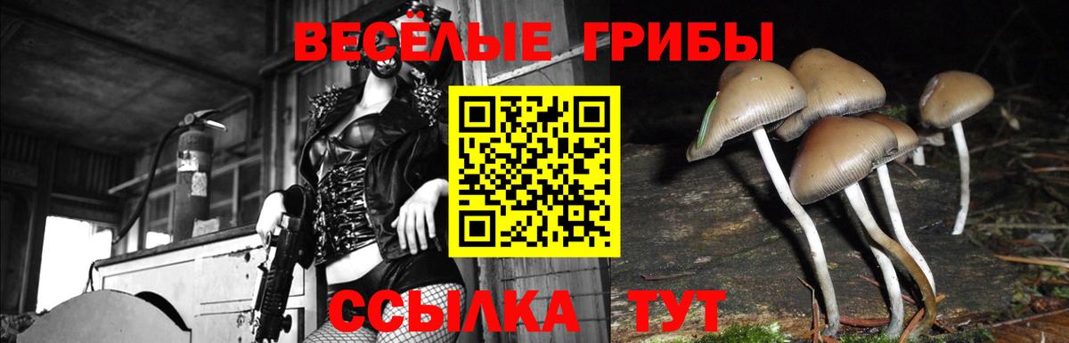 Псилоцибиновые грибы прущие грибы Выкса