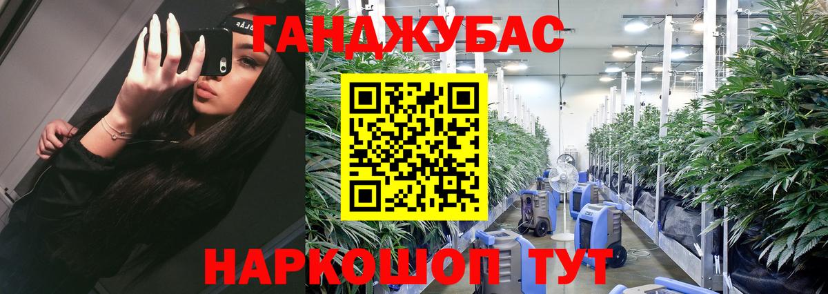 Бошки марихуана индика  Каннабис SATIVA & INDICA  Марихуана сатива  Выкса 